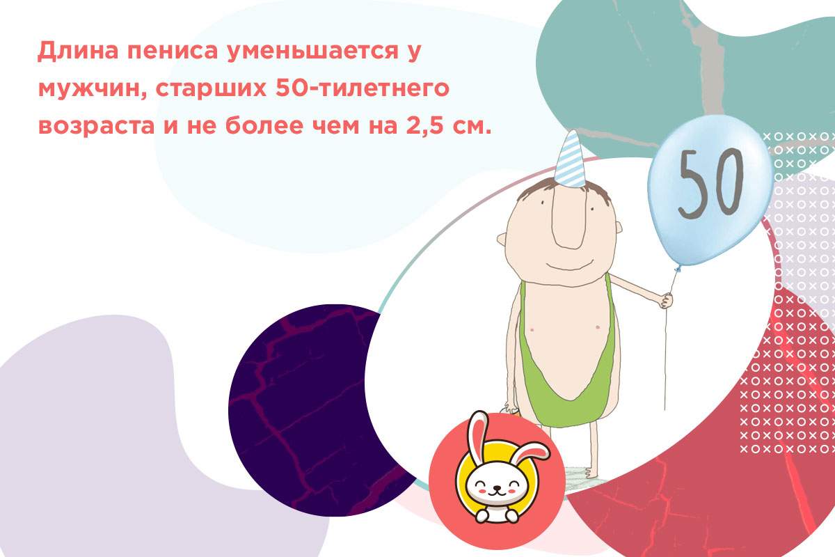 диаметр среднего члена