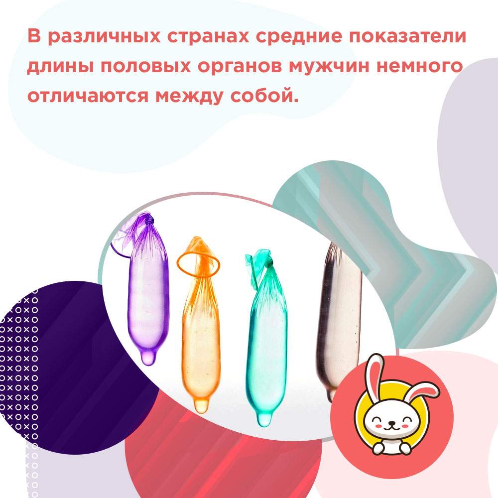размер большого члена