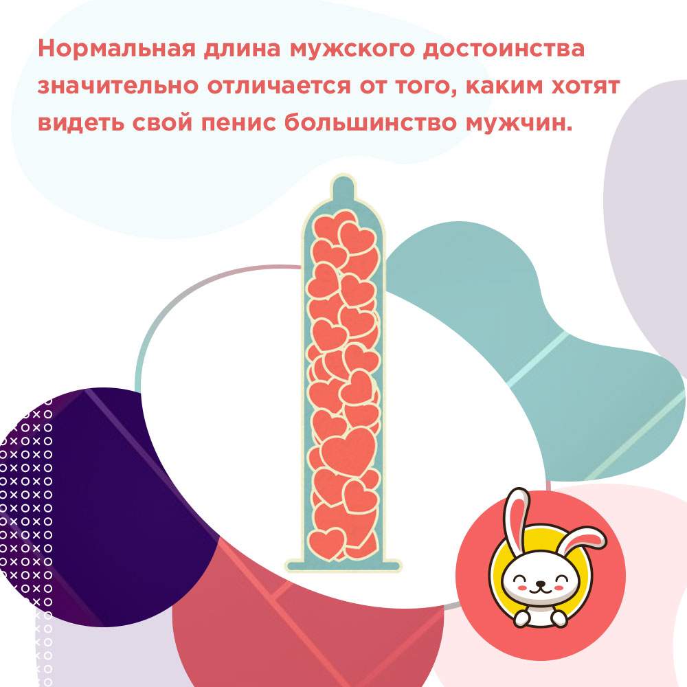 размер пениса