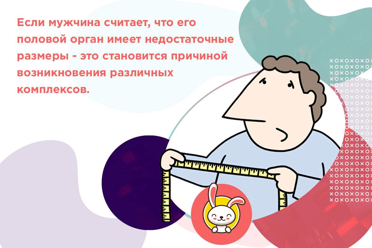 размер среднего пениса