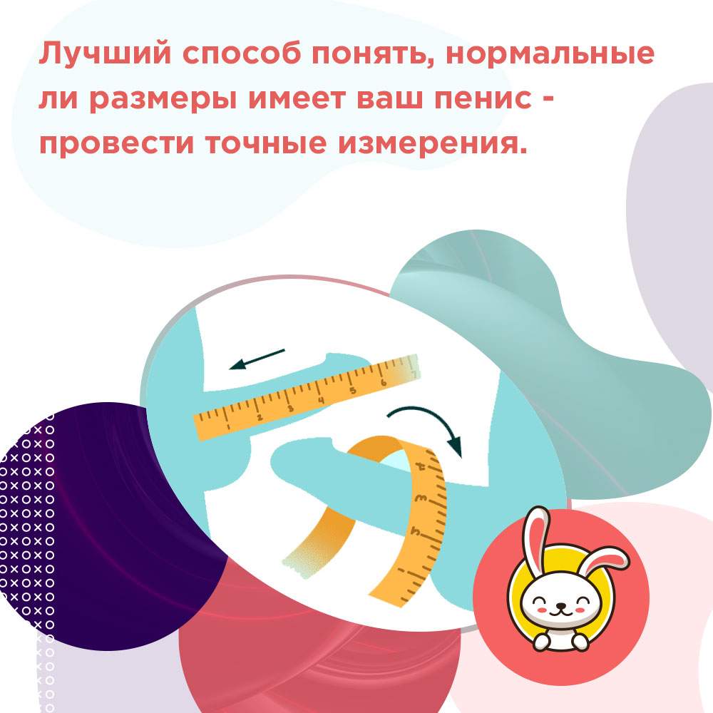 размеры мужского достоинства