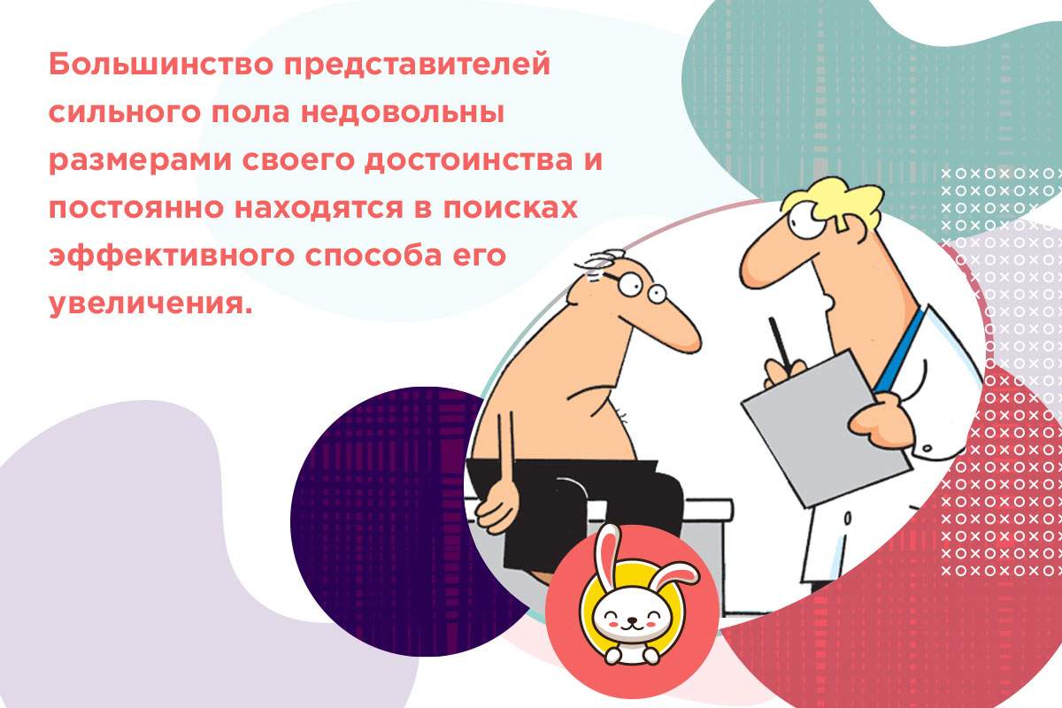 средняя длина полового члена