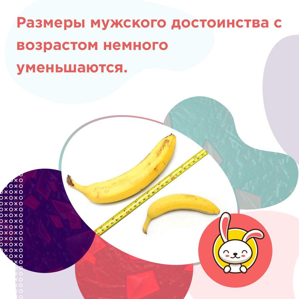 нормальная длина члена