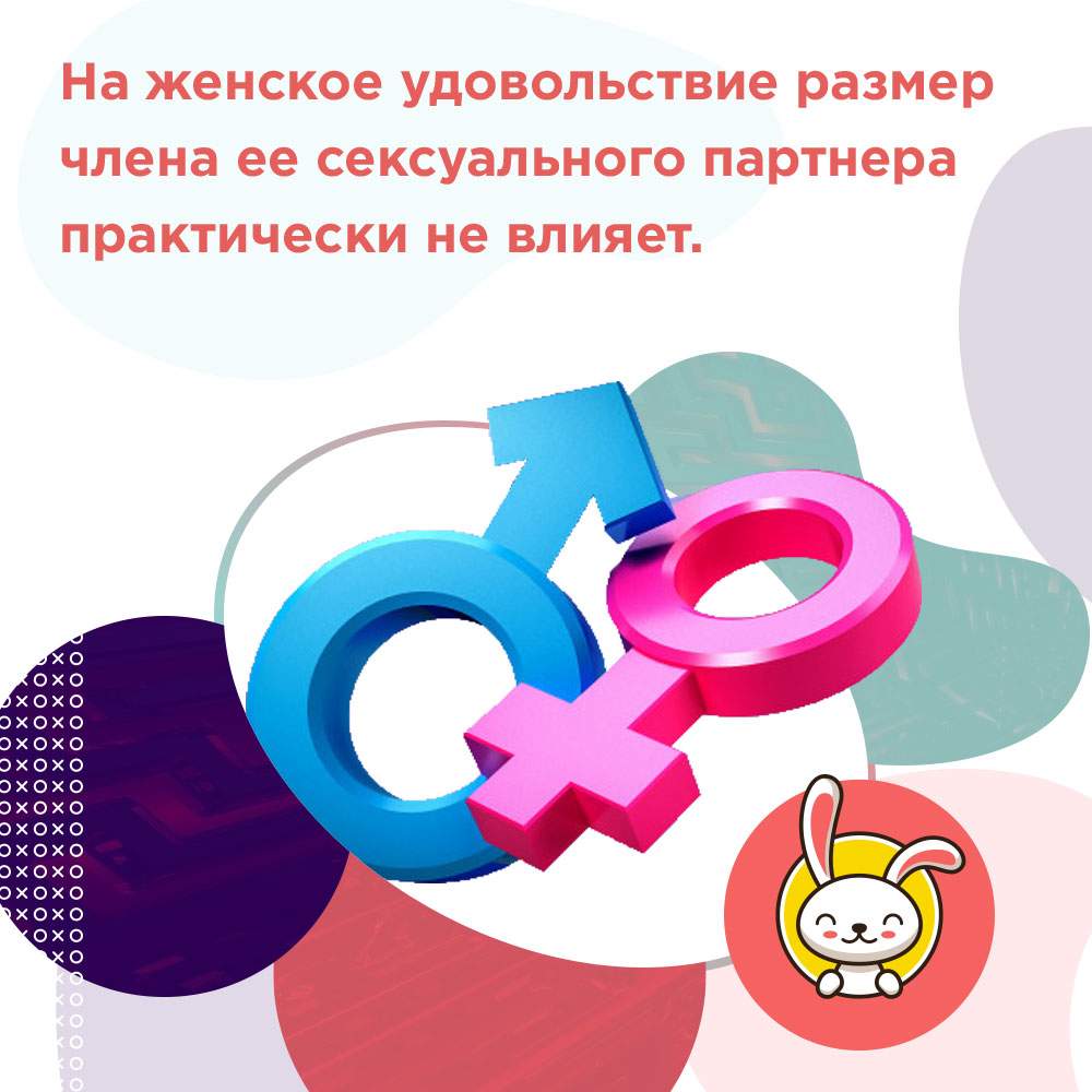 размер полового члена
